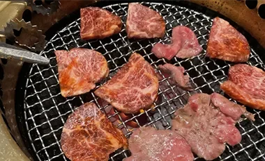ギャラリー-4